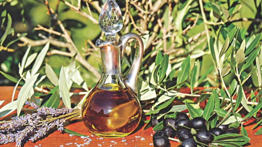 olive_harvest