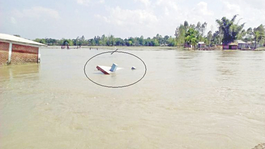 padma devour 3.jpg