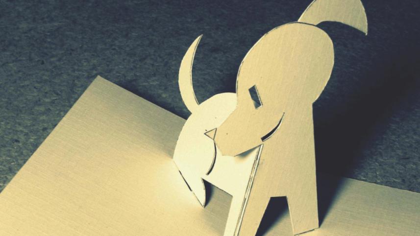 Paper fold and more