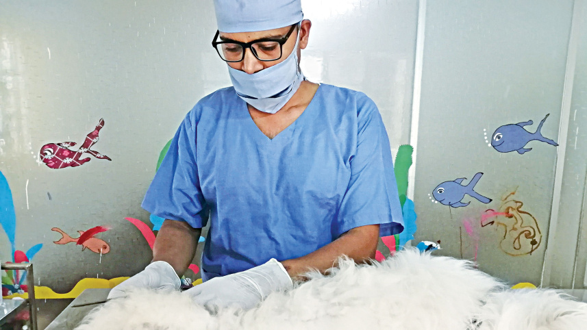 pets-doctor3.jpg