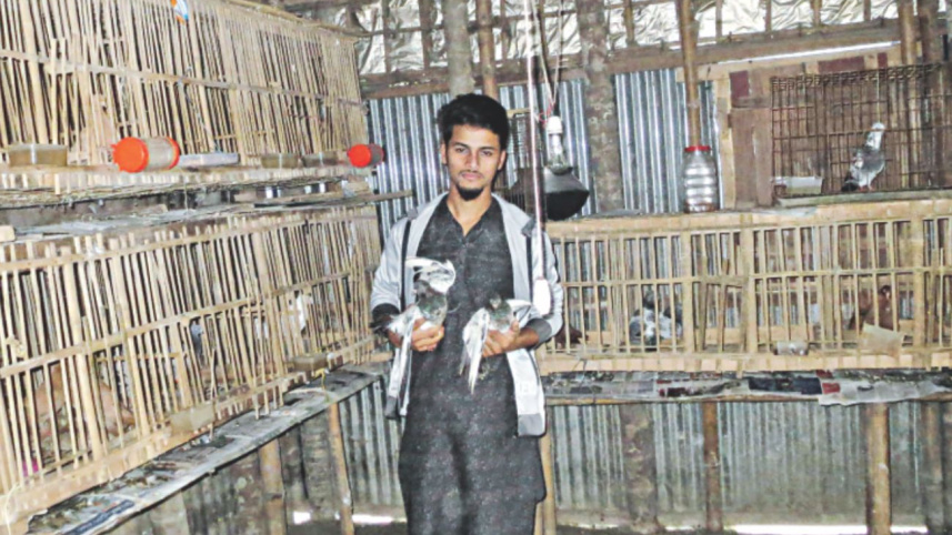 pigeon_farming_2.jpg
