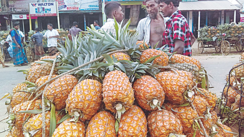 pineapple_yeild_2.jpg