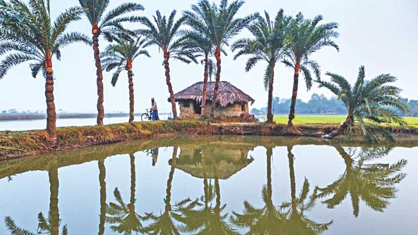 pond_0.jpg