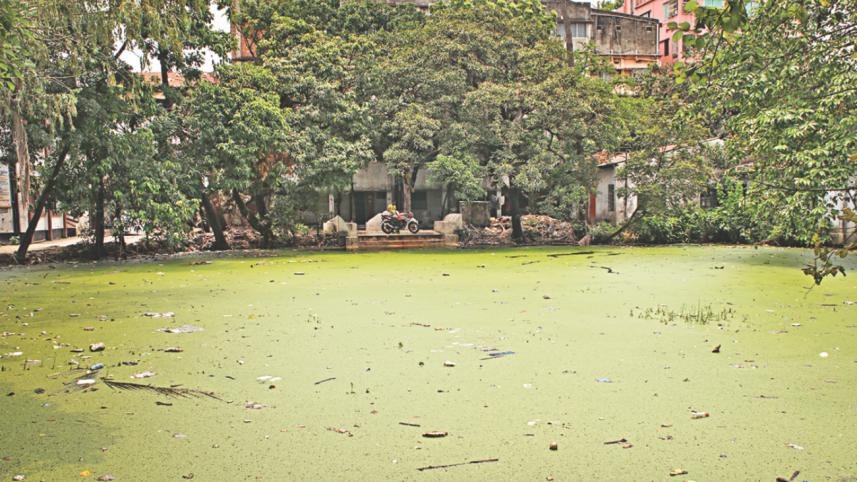 pond_2.jpg
