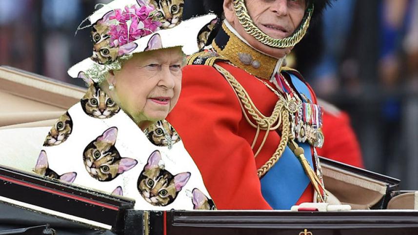 queen 5.jpg