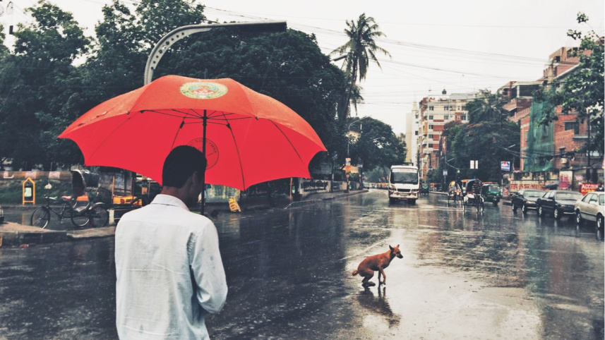 Rain3.jpg