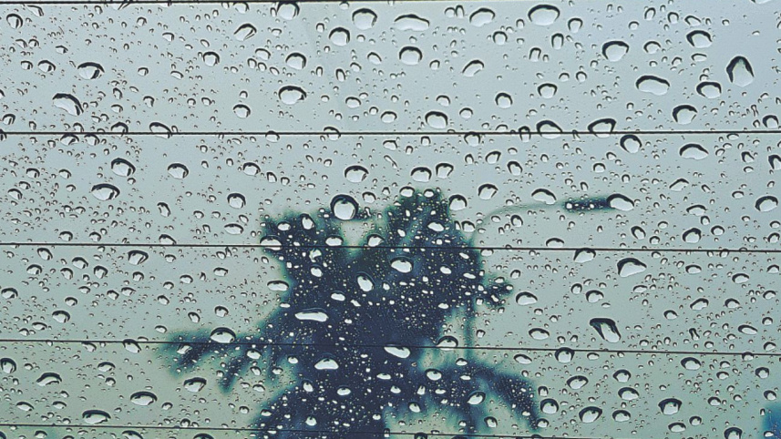 rain_8.jpg
