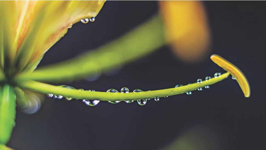 Rainy6.jpg