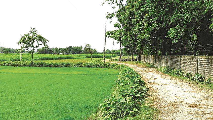 rangpur