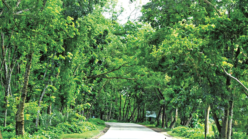rangpur6.jpg