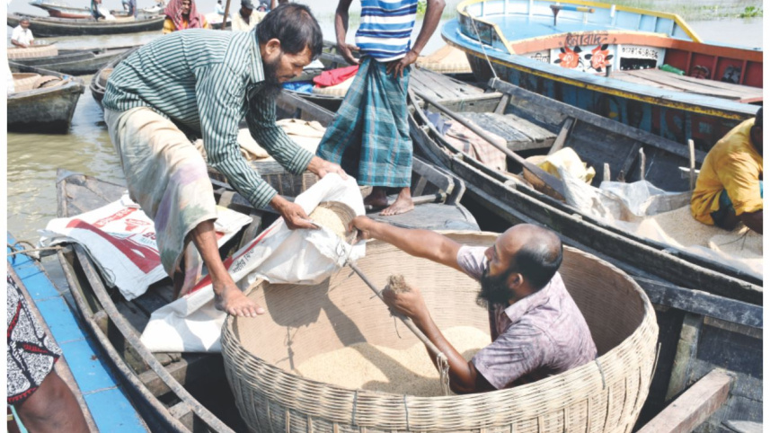 rice1_0.jpg