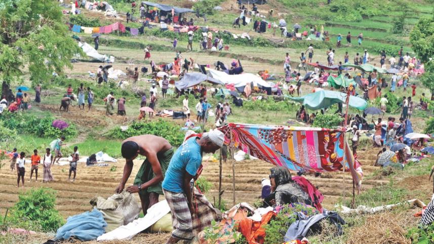 rohingya