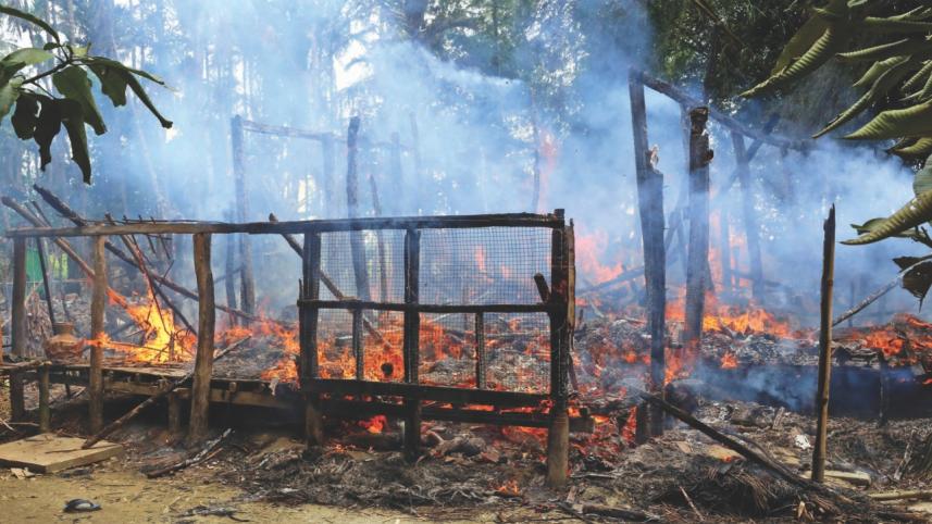 rohingya case