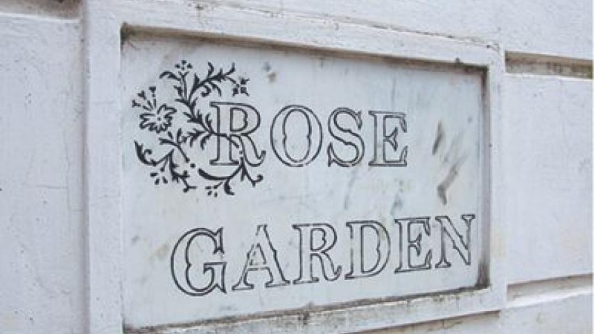 Roses3.jpg