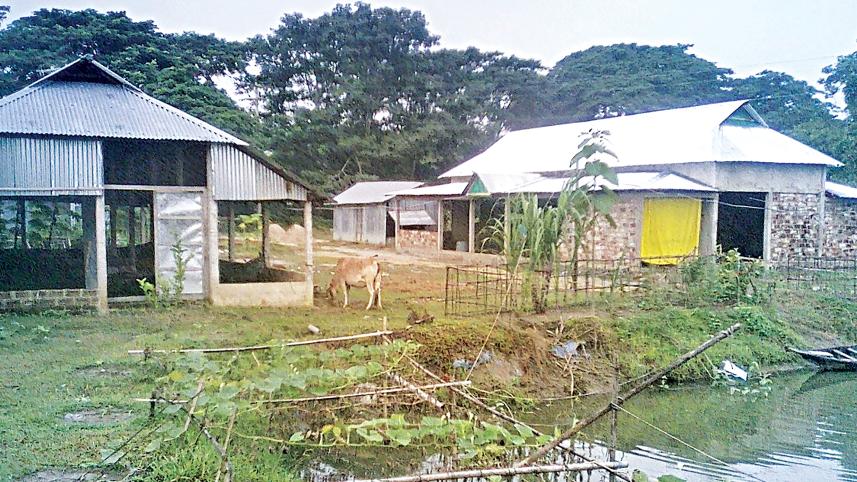 rural.jpg