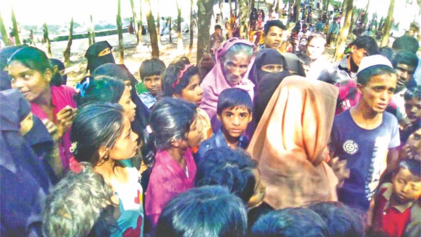 Save the Rohingyas