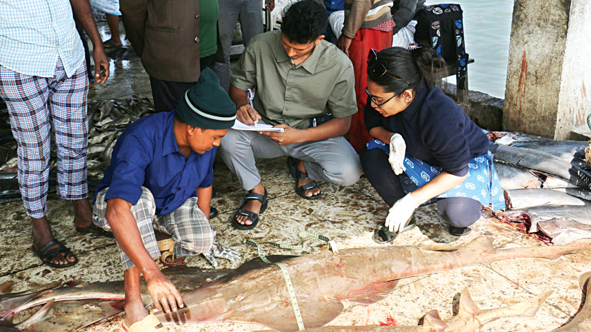 sea-fish6.jpg