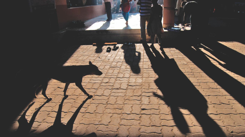 Shutter Stories