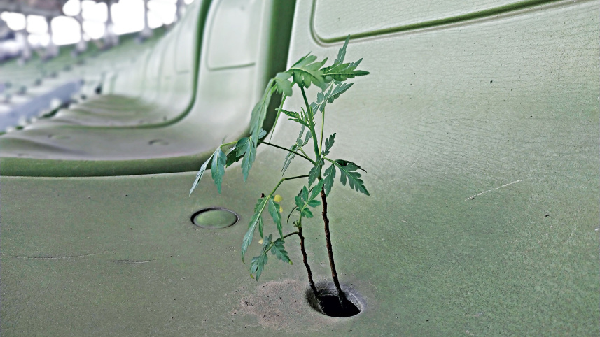springing.jpg