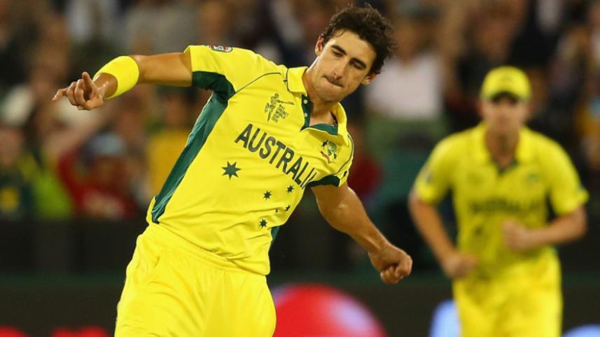 starc.jpg