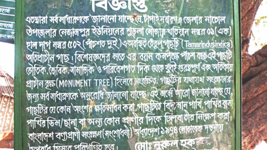 tamaraind_tree_notice.jpg