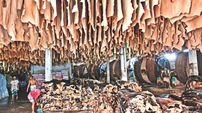tannery 2.jpg