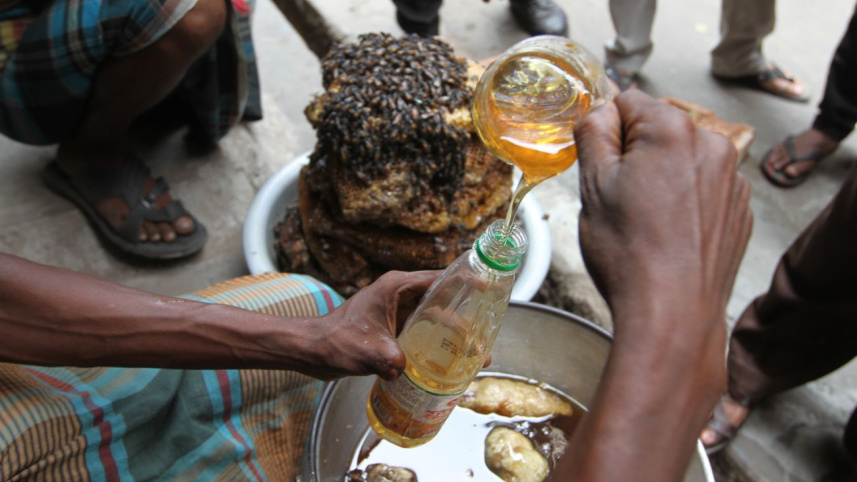 The honey collector