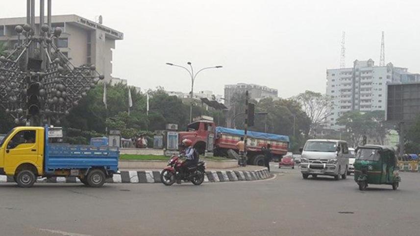 truck_palo_3.jpg