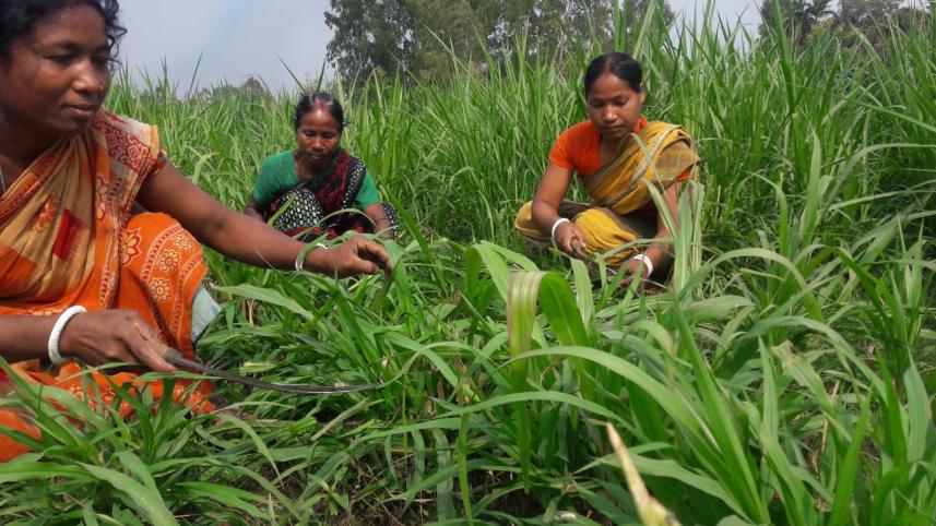 uttama_female_entrepreneurs_3.jpg