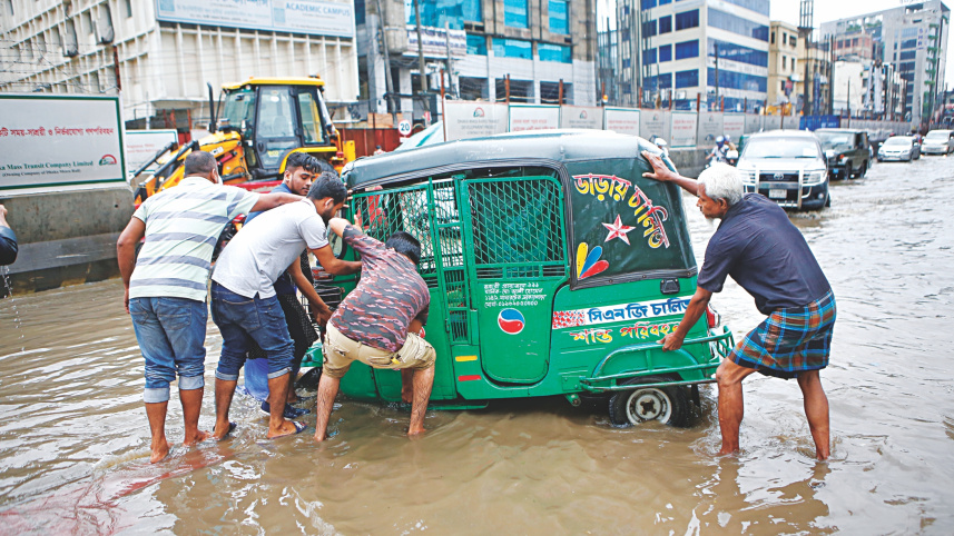 waterlogged1.jpg