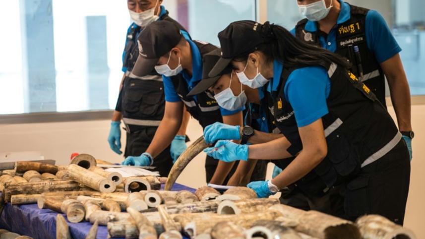 wildlife-trafficking.jpg