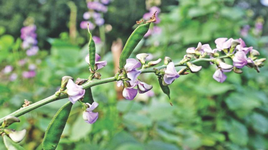 winter_vegetable_2.jpg