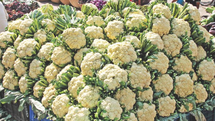 winter_vegetable_5.jpg