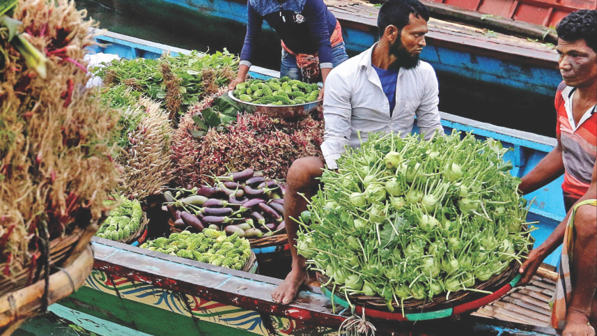winter_vegetables_13.jpg