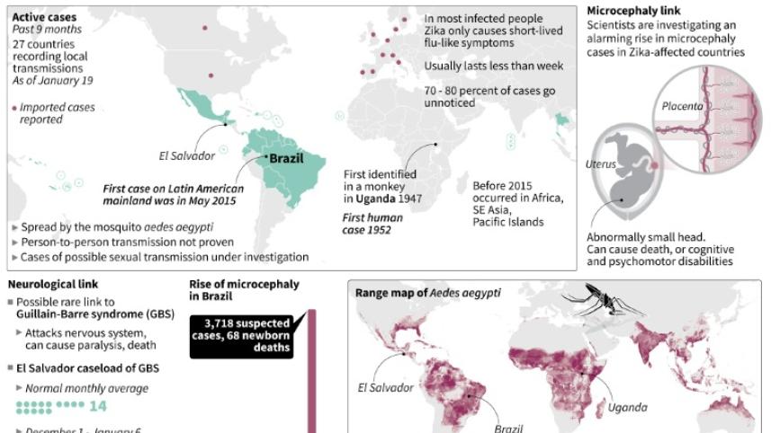 Zika virus