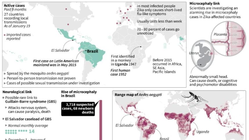 Factfile, Zika virus