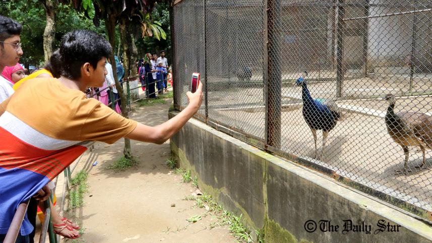 zoo2_3.jpg