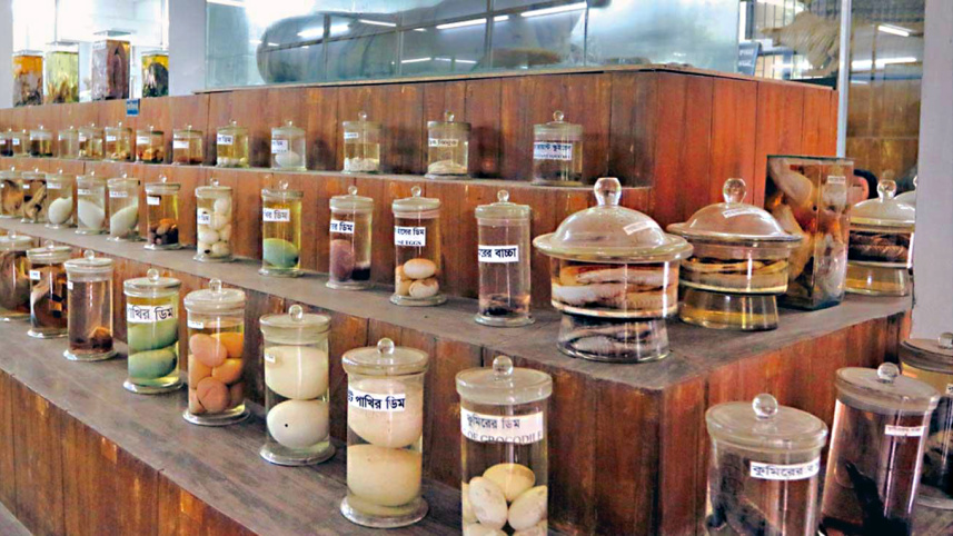 zoo4_0.jpg