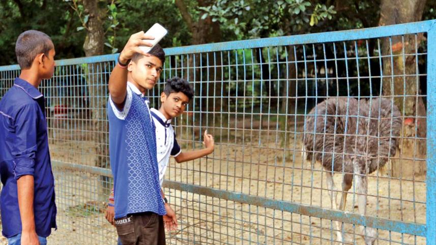 Zoo7.jpg