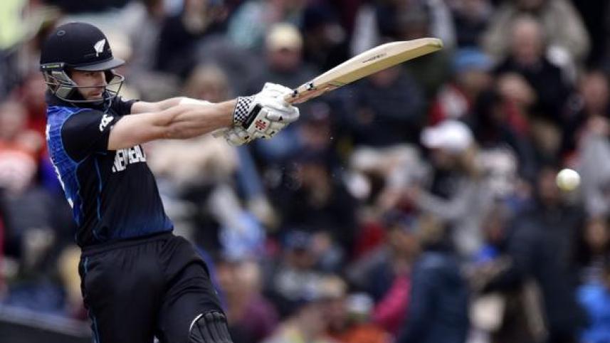 Williamson hammers