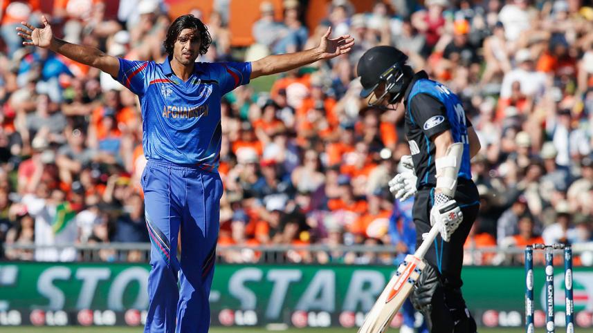 Zadran flies