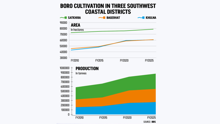 Boro Farming in Coastal Areas