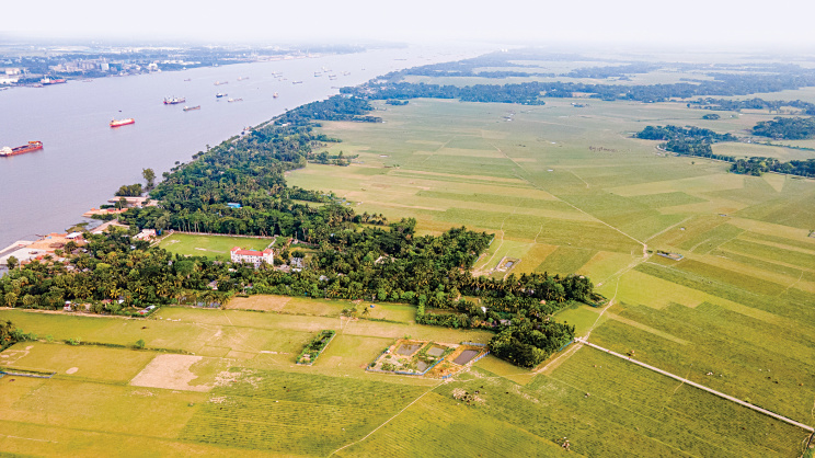 Salt-tolerant paddy varieties