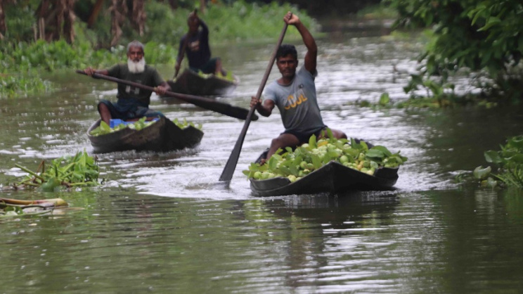 For generations, guava has defined the identity of Nesarabad's floating market in Pirojpur. Photo: Star