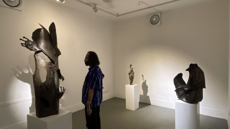 ‘Line-Form-Balance’: Exhibition explores strength and survival through art
