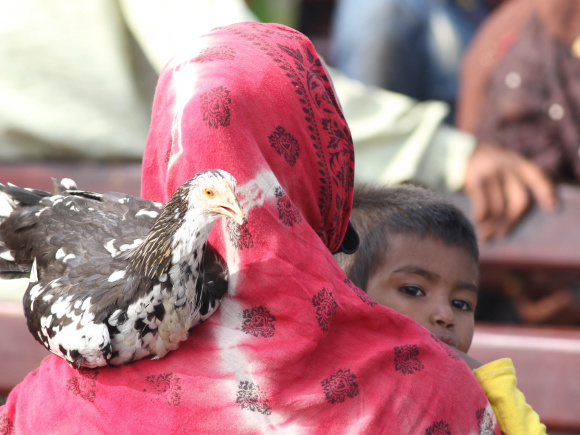 Final_Photo_Rohingya_Women.jpg