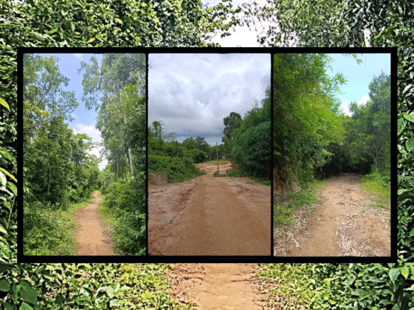 Maheshkhali forest lead.png