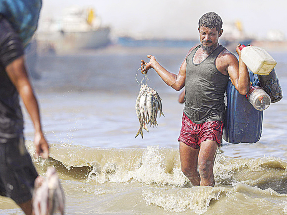 ilish_16.jpg