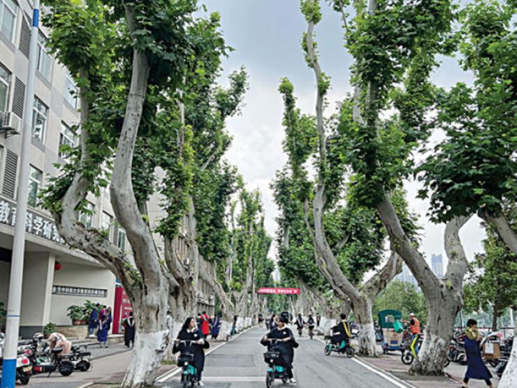 china-2_0.jpg