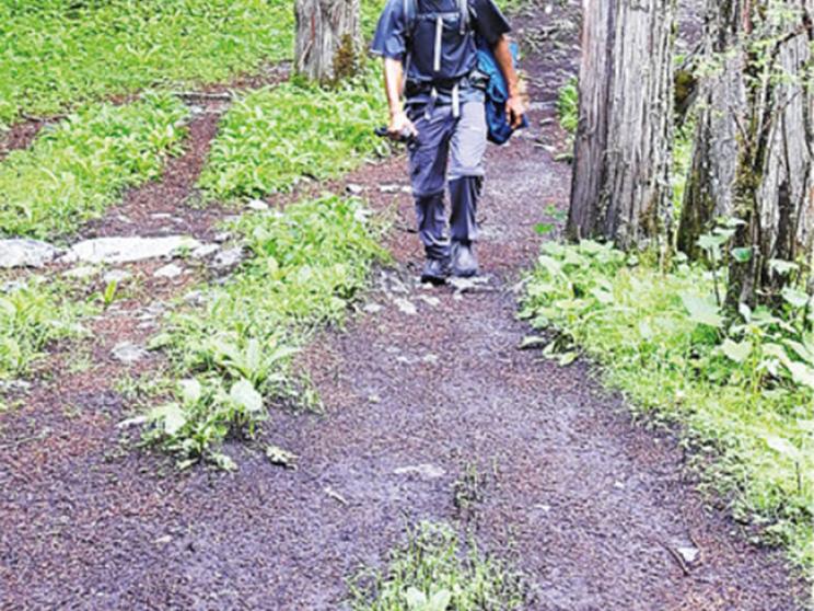 The Great Himalayan Trail: Shakil’s story of perseverance
